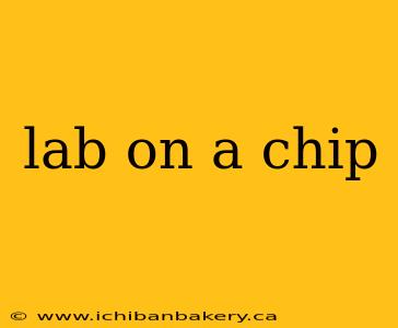 lab on a chip