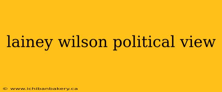 lainey wilson political view