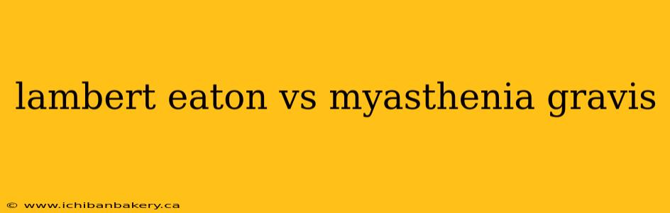 lambert eaton vs myasthenia gravis
