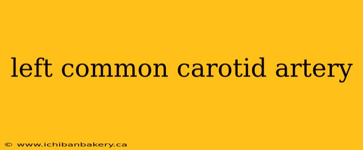 left common carotid artery