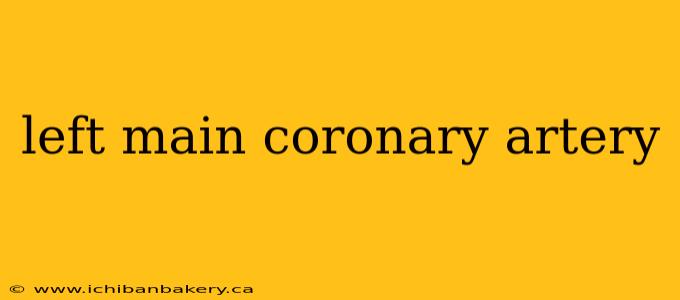 left main coronary artery