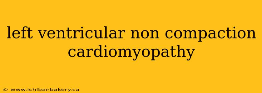 left ventricular non compaction cardiomyopathy