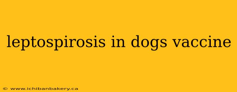leptospirosis in dogs vaccine