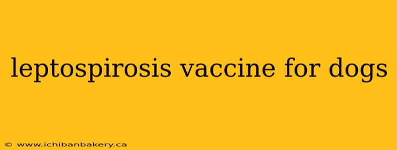 leptospirosis vaccine for dogs