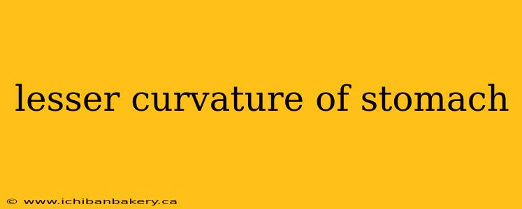 lesser curvature of stomach