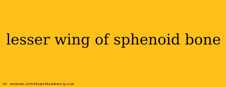 lesser wing of sphenoid bone