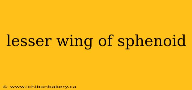 lesser wing of sphenoid