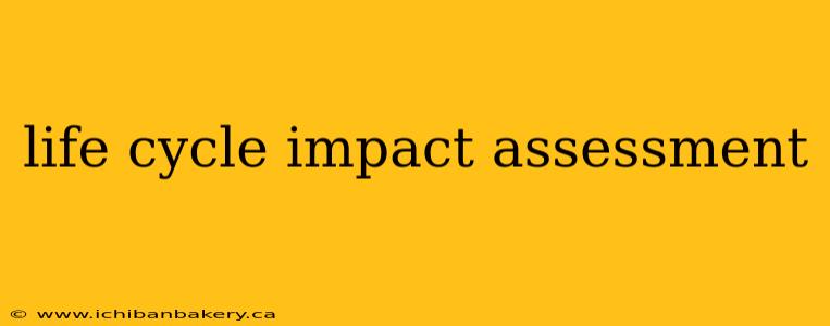 life cycle impact assessment