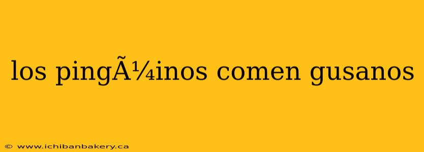 los pingÃ¼inos comen gusanos