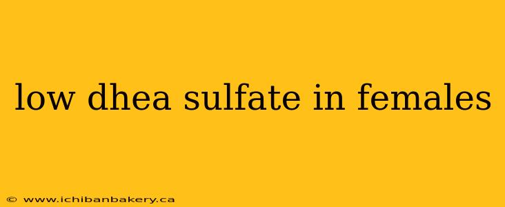 low dhea sulfate in females