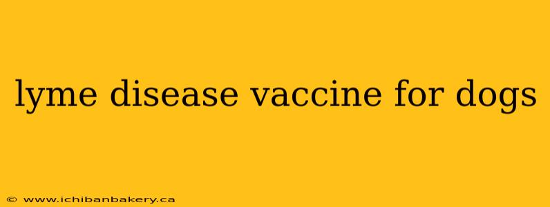 lyme disease vaccine for dogs