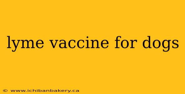 lyme vaccine for dogs