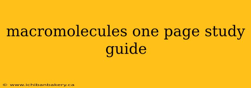 macromolecules one page study guide
