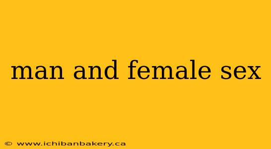 man and female sex
