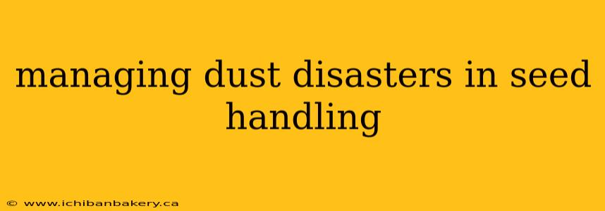 managing dust disasters in seed handling