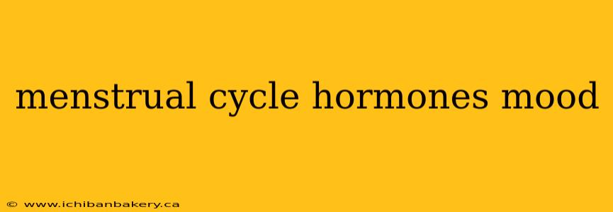 menstrual cycle hormones mood