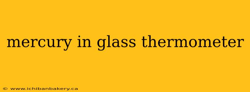 mercury in glass thermometer