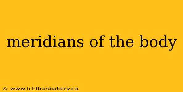 meridians of the body