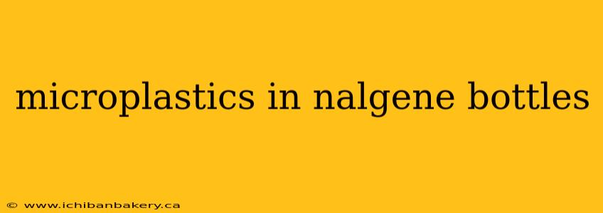 microplastics in nalgene bottles