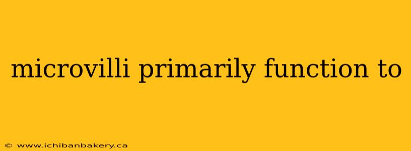 microvilli primarily function to