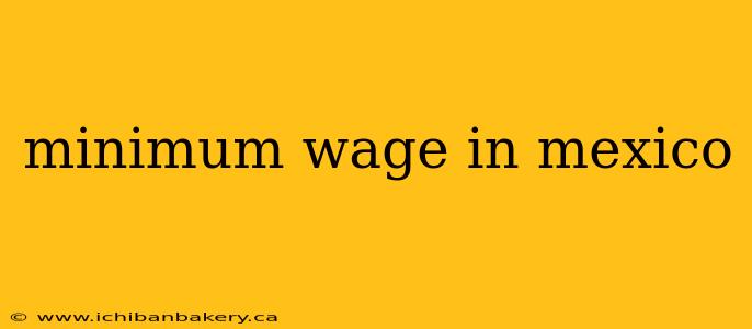 minimum wage in mexico