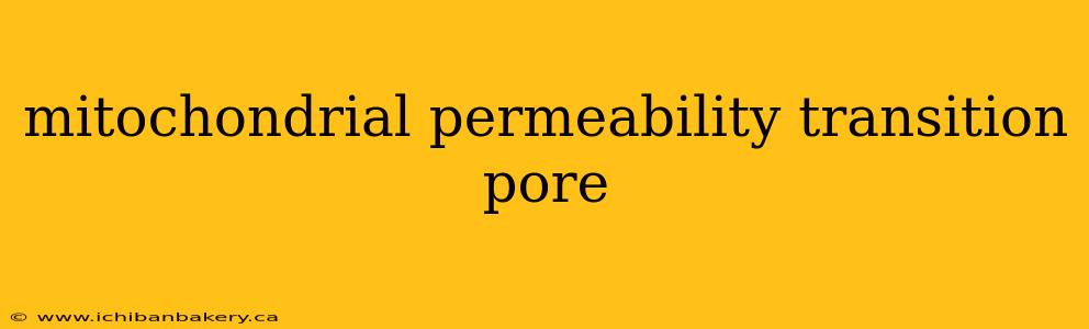 mitochondrial permeability transition pore