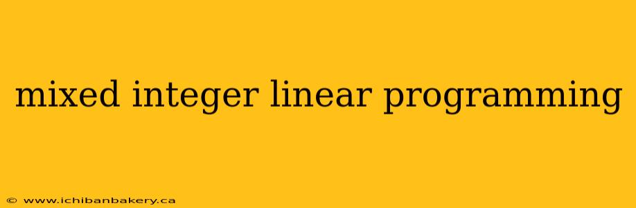 mixed integer linear programming