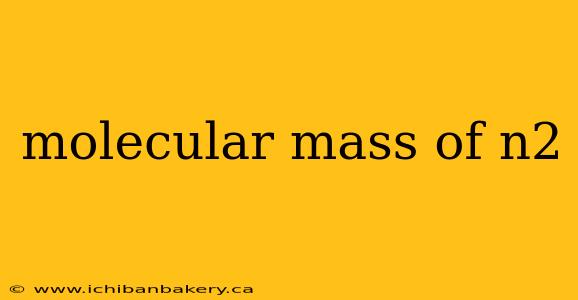 molecular mass of n2