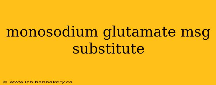 monosodium glutamate msg substitute