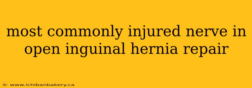 most commonly injured nerve in open inguinal hernia repair