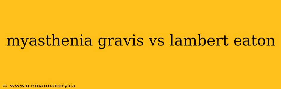 myasthenia gravis vs lambert eaton