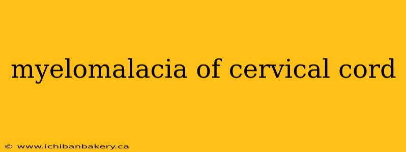 myelomalacia of cervical cord