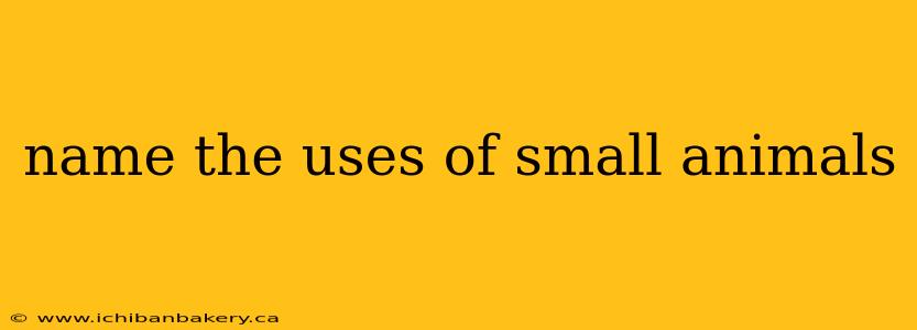 name the uses of small animals