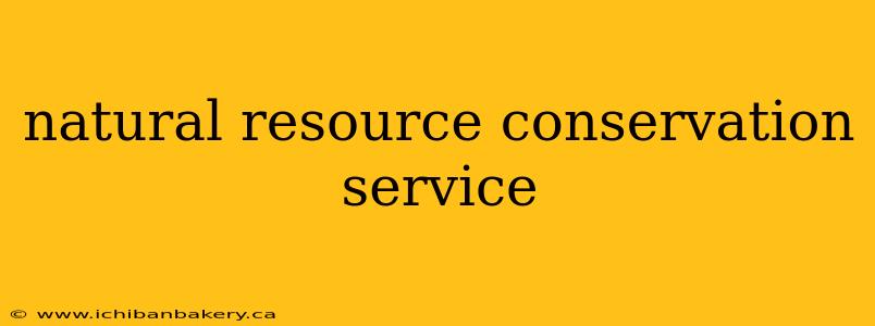 natural resource conservation service
