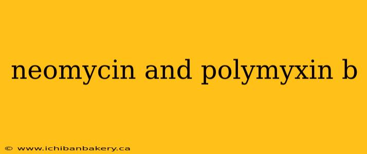 neomycin and polymyxin b