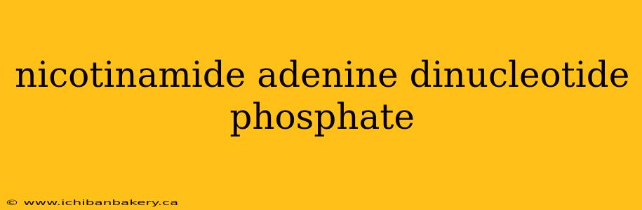 nicotinamide adenine dinucleotide phosphate