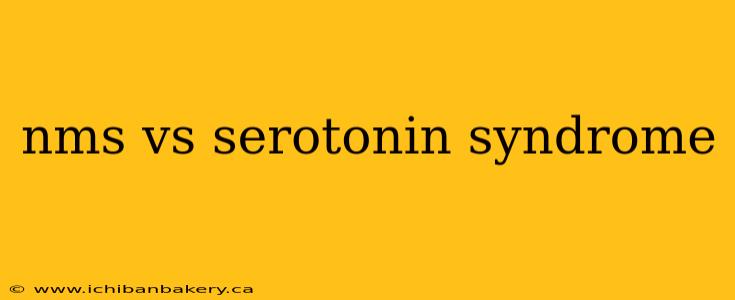 nms vs serotonin syndrome