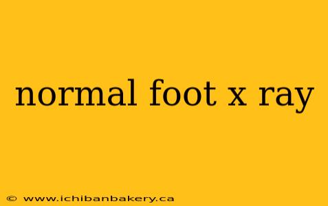 normal foot x ray