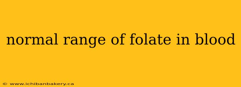 normal range of folate in blood