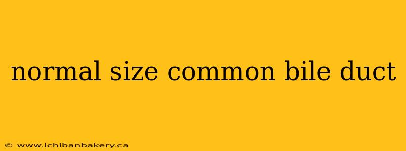 normal size common bile duct