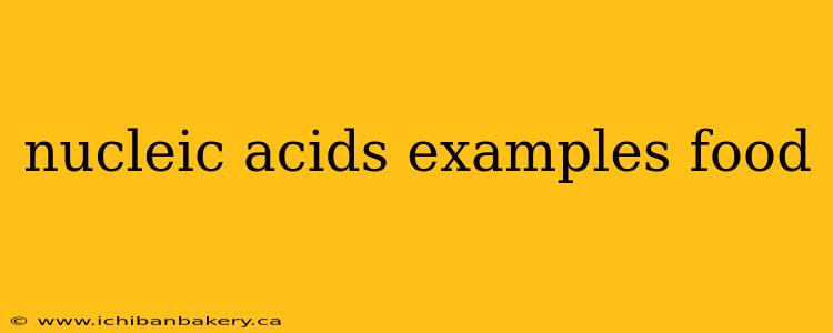 nucleic acids examples food
