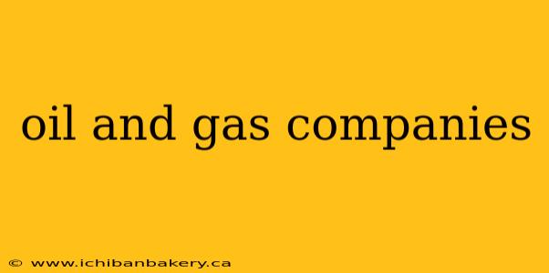 oil and gas companies