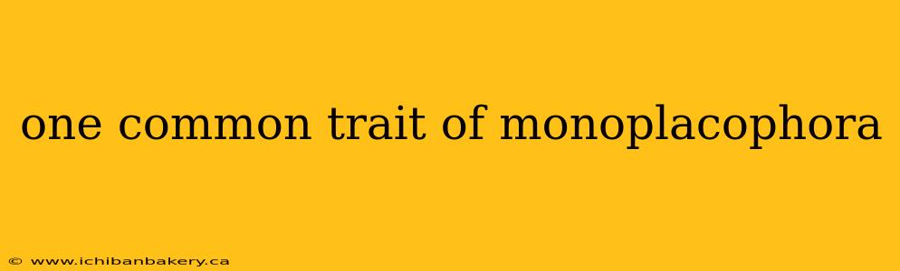 one common trait of monoplacophora