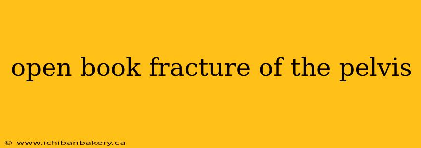 open book fracture of the pelvis