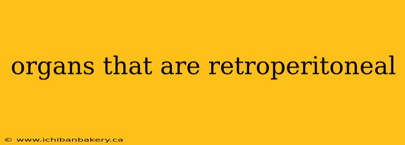 organs that are retroperitoneal