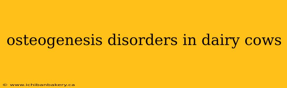 osteogenesis disorders in dairy cows