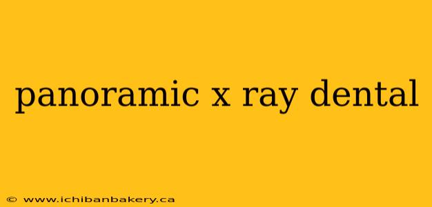 panoramic x ray dental