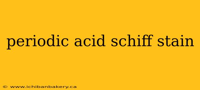 periodic acid schiff stain