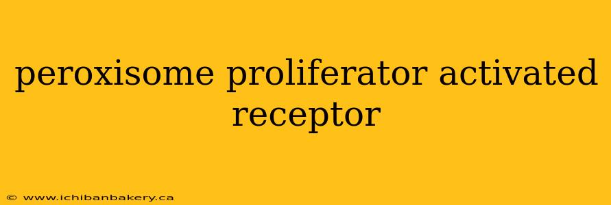 peroxisome proliferator activated receptor
