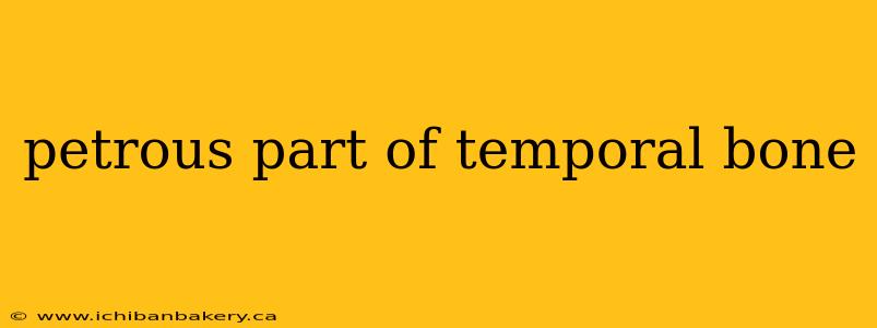 petrous part of temporal bone